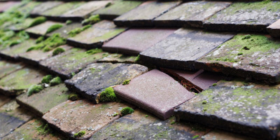 Portishead roof repair costs